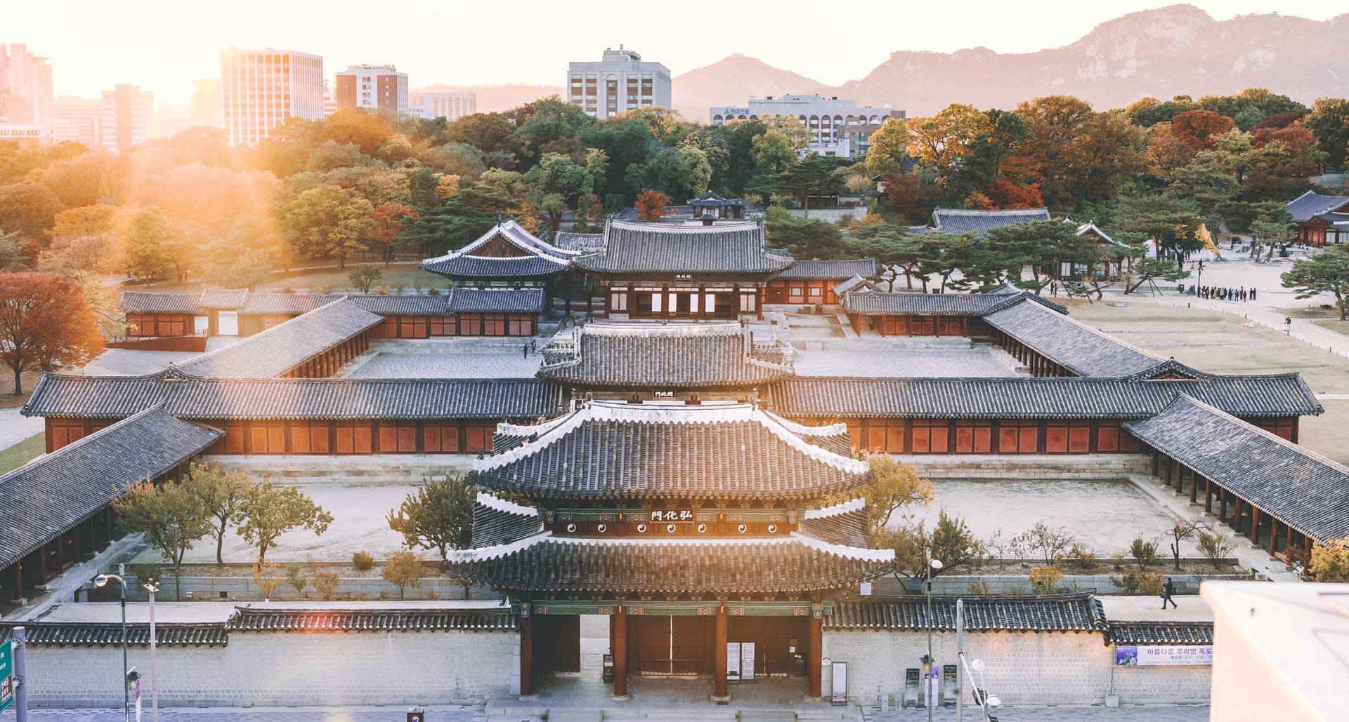 Aerial view of Daehak-ro district, Seoul, by Bundo Kim